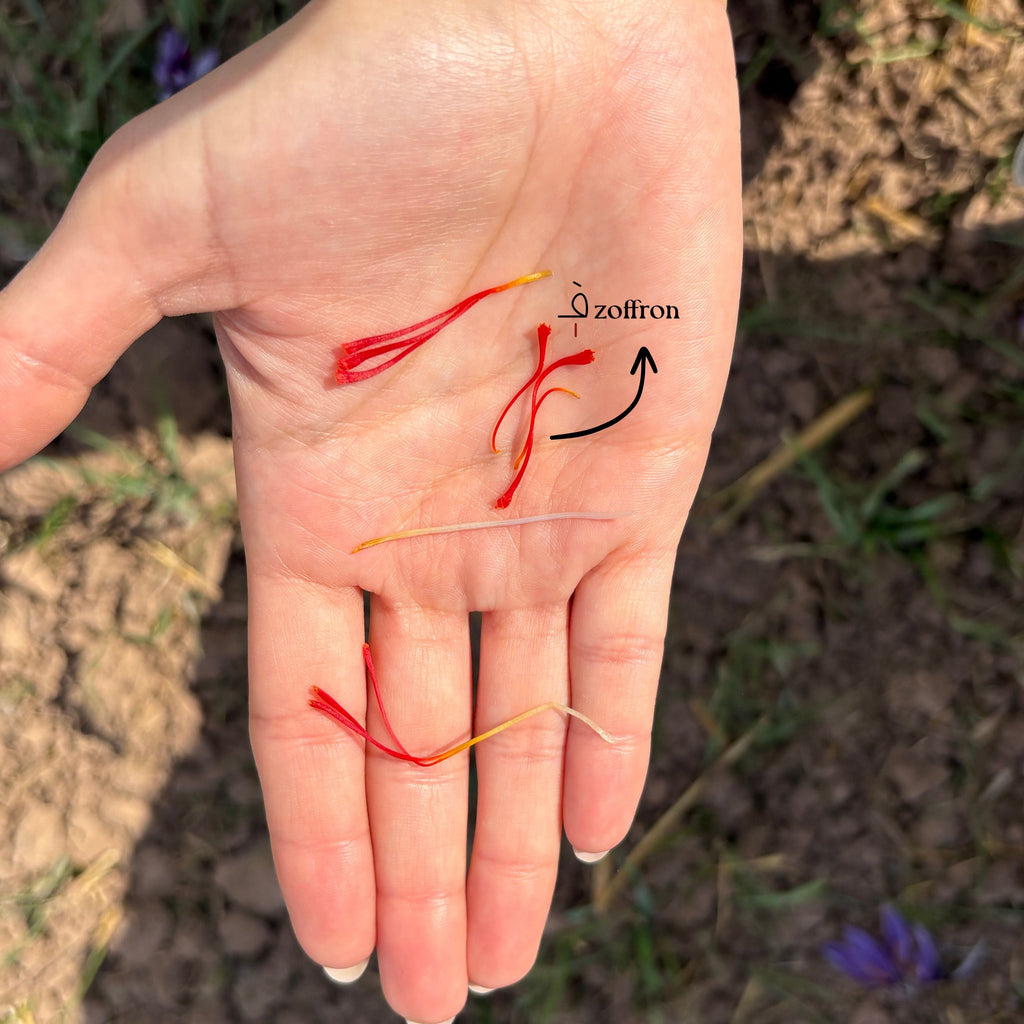 PURE PREMIUM SAFFRON